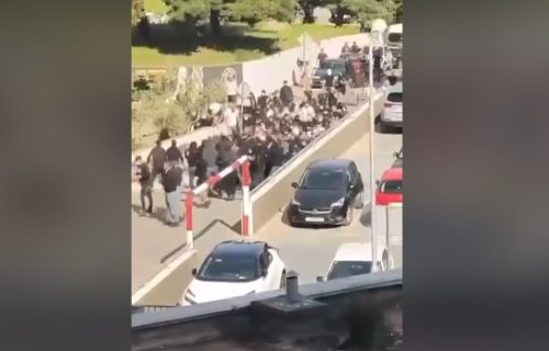 Starija gospođa postala hit na mrežama tokom masovne tuče Hajduka i Dinama (VIDEO)