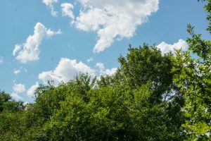 Još jedan sunčan i topao dan: Temepratura do 23 stepena, a onda stiže dramatična promena