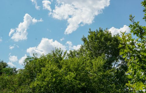 Sveže jutro, a dan sunčan i topao: Najviša temperatura do 30 stepeni