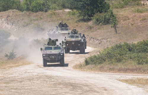 Održana vojna vežba "Platinaski vuk": Taktike i tehnike u mirovnim operacijama (FOTO)