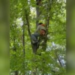 Pogledajte akciju spasavanja paraglajderiste zaglavljenog u krošnji drveta! (VIDEO)