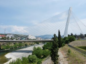 Crnogorski političar brutalno pretučen u Podgorici, tukli ga bokserom
