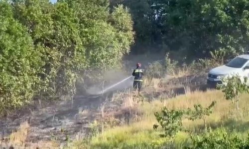 Ministarstvo započelo isporuku pomoći poljoprivrednim gazdinstvima koja su pretrpela štetu u požarima