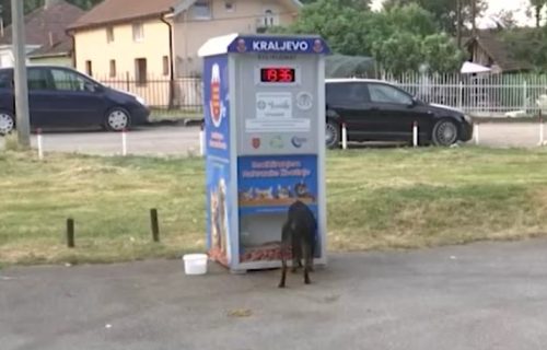 Recikliranjem nahrani životinje: Prvi reciklomat u Kraljevu koji hrani pse lutalice