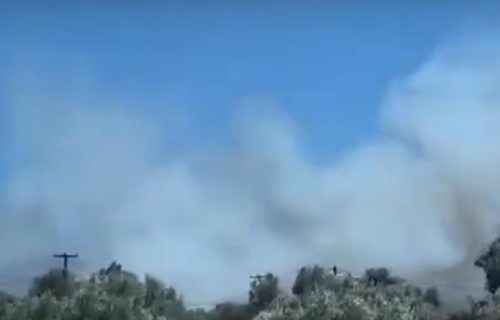 Besni požar na omiljenom grčkom ostrvu: Aktivirani avioni i helikopteri, stižu poruke upozorenja (VIDEO)