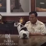 Mačak predsednika Indonezije dobio državno obezbeđenje