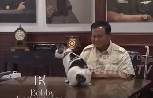 Mačak predsednika Indonezije dobio državno obezbeđenje