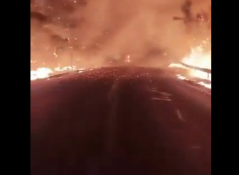 Drama na Tasosu: Bukti veliki požar, turisti beže, među njima i Srbi (VIDEO)