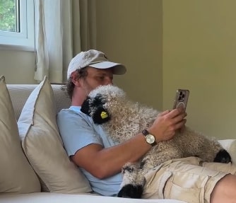 Kako uskočiti u viral pet trendove na TikToku? Vodič za autore i ljubitelje životinja, korak po korak