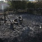 Popisana sva šteta od požara: Izgorela zemlja, voćnjaci, životinje uginule, evo šta će država učiniti