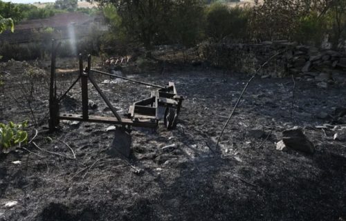 Vatra im je domove pretvorila u zgarišta, potrebna je naša pomoć! Počela velika akcija Crvenog krsta Srbije