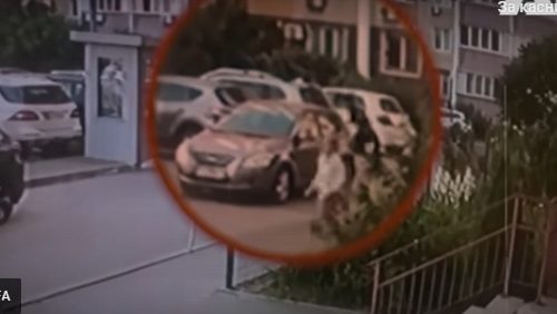 Mogući motiv egzekucije: Britanci objavili šta je radio ubijeni ukrajinski pukovnik