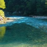 Užas na reci Tari: Pronađena tela dva muškarca, naložena obdukcija