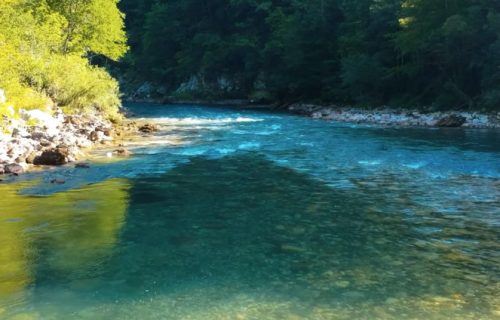 Užas na reci Tari: Pronađena tela dva muškarca, naložena obdukcija