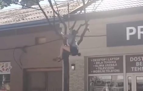 Dirljiva scena u Šapcu: Devojka visila sa drveta, svi su navijali za nju kada su videli šta radi (VIDEO)