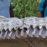 Ogroman metalni prsten od 500 kg pao s neba u jedno selo: Analize potvrdile da je svemirski otpad u pitanju (VIDEO)