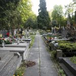 Morbidni zločin: Bande otvaraju kovčege i pokojnicima kradu zlatne zube, oskrnavljeno preko 200 grobnica
