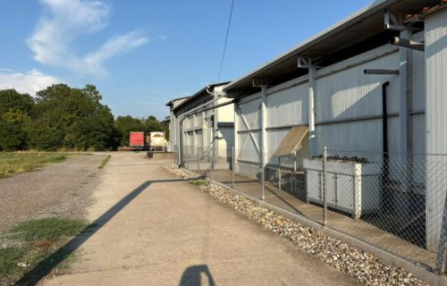 Sprečen promet pilećeg mesa zaraženog salmonelom: Zaplenjeno 40 tona mesa