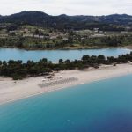 Grci u čudu: Srbi sa letovanja sve češće donose jednu biljku, evo šta rade sa njom