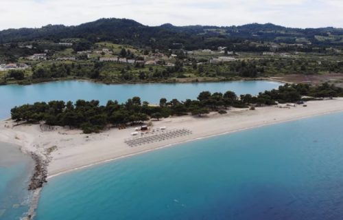Grci u čudu: Srbi sa letovanja sve češće donose jednu biljku, evo šta rade sa njom