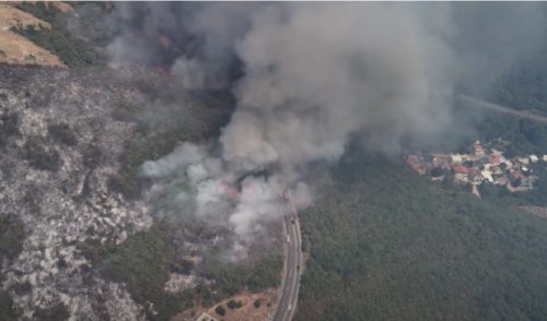 Dramatično u Crnoj Gori: Požar na planini Vojnik, dim blokirao put Nikšić–Šavnik, ugrožene kuće