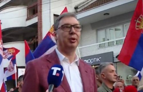 Vučić o optužbama Nikoline Sinđelić: Verujem u časno ophođenje policije, postoji unutrašnja kontrola