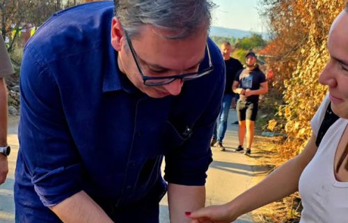 Predsednik Vučić: "Diplomatija na četiri šape, razgovor sa novinarkom, uz poseban nadzor" (FOTO)