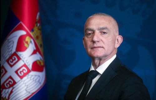 Vujić: Ispunjeni zakonski uslovi da Vlada sprovede odluku Ustavnog suda o izborima za članove VST-a
