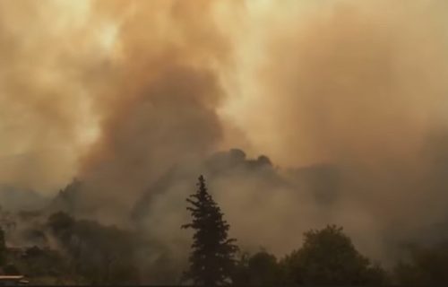 Izgorelo više od 10.000 hektara šuma: Požari u Grčkoj pogađaju sve više urbana područja (VIDEO)