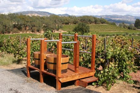 Grožđe nikad kvalitetnije, a kupaca sve manje: Vinogradari suočeni sa padom cena