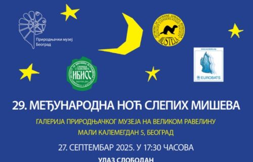 29. Međunarodna noć slepih miševa: Ne propustite priliku da upoznate ova fascinantna stvorenja