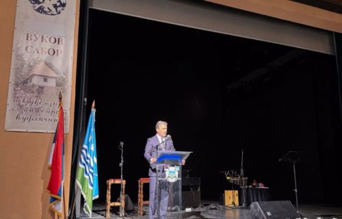 Najvažnije je da ćirilica živi u nama i našoj deci: Selaković otvorio 92. Vukov sabor