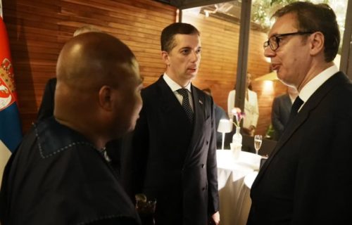 Vučić na prijemu povodom obeležavanja osnivanja Pokreta nesvrstanih