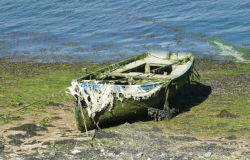 Drama turista na Jadranu: Toksične alge zatvorile plaže, more puno otrova opasnog po život