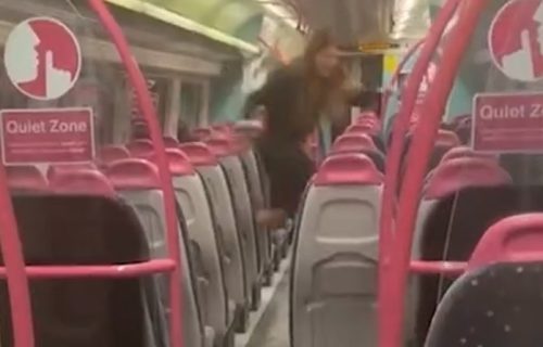 Šok scena u vozu: Kad su putnici videli šta je ušlo nastala je opšta panika (VIDEO)