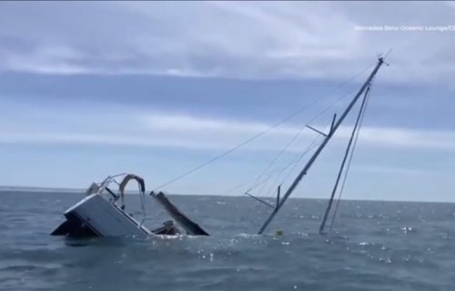 Velike morske zveri potapaju brodove: Udružili se i napadaju ljude oprobanom taktikom (VIDEO)