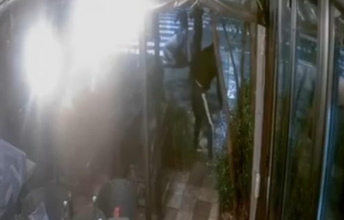 Haos u Podgorici nakon što je izboden mladić: Čulo se skandiranje "Ubij Turčina", proterano osam stranaca