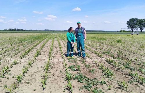 Uči od najboljih, prijavi se za Agrobiznis školu