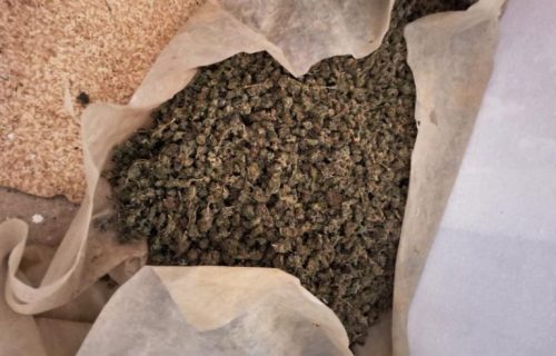 Ogromna zaplena droge kod Loznice: Oglasio se Dačić, policija pronašla 200 kg marihuane