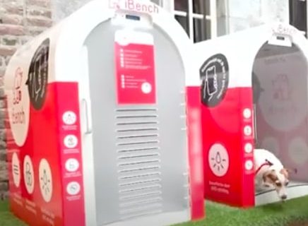 Kupovina bez brige: Pametne kućice za pse, ispred supermarketa (VIDEO)