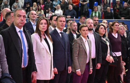 Sedamnaest godina zajedništva, rada i borbe za jaču i moderniju Srbiju: Mali nakon proslave rođendana SNS