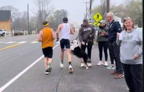 Maratonca "napao“ pas, pa postao senzacija: Sve je bilo mnogo smešnije nego što izgleda na snimku (VIDEO)