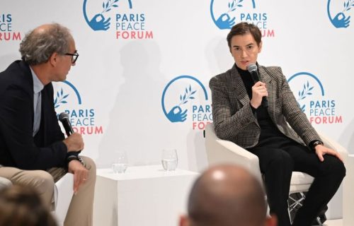 Brnabić na Panelu "Bezbednost nasuprot održivosti": Ovo je prilika da predstavim stav Srbije
