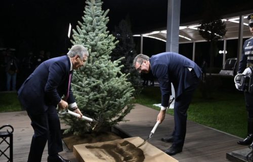 Vučić sa Mirzijojevom posadio drvo u Aleji počasnih gostiju u Taškentu