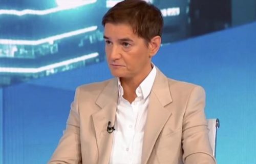 Brnabić: Verujem da će Djukov prihvatiti neko od rešenja za NIS na sastanku sa Vučićem