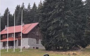 Golijom šeta “nepar”: Prizor iz vica snimljen usred šume, svi se pitaju kako se to desilo