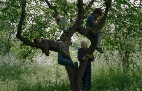 Srpska premijera filma "Vetre, pričaj sa mnom" Stefana Đorđevića na 31. Festivalu autorskog filma (VIDEO)