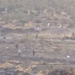 Haos na Zapadnoj obali: Izraelski doseljenici napali beduine i palili maslinjake (VIDEO)