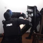 Velika akcija UKP u Zemun Polju: Zaplenjene stotine hiljada lekova, sprečen šverc u Skandinaviju