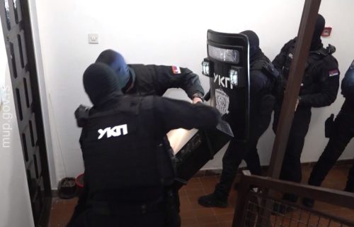 Velika akcija UKP u Zemun Polju: Zaplenjene stotine hiljada lekova, sprečen šverc u Skandinaviju